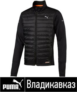 спортивные куртки мужские спортивные куртки мужские